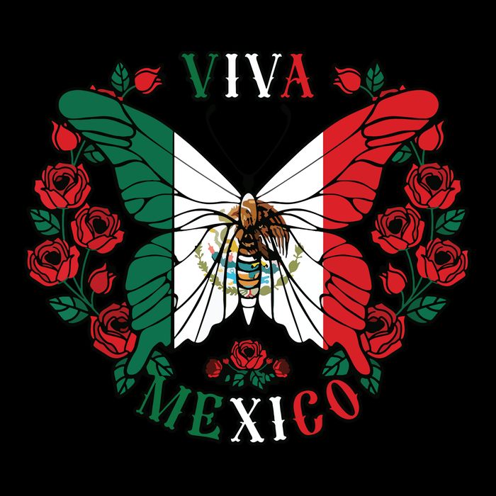 Viva Mexico Butterfly Rose Mexican Independence Hoodie