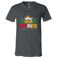 Viva Mexico Cinco De Mayo Gift Funnt Beard V-Neck T-Shirt