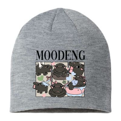 Vintage Moo Deng Bootleg Rap I Love Moo Deng Hippo Lover Sustainable Beanie