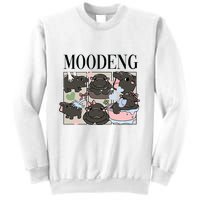 Vintage Moo Deng Bootleg Rap I Love Moo Deng Hippo Lover Sweatshirt