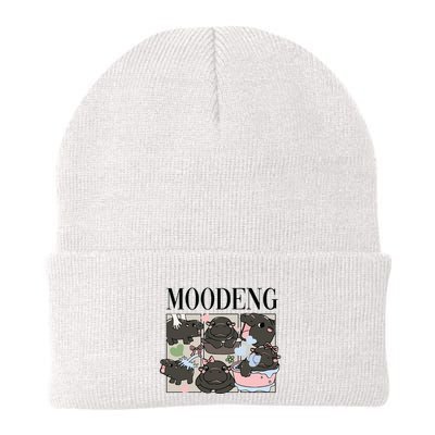Vintage Moo Deng Bootleg Rap I Love Moo Deng Hippo Lover Beanie
