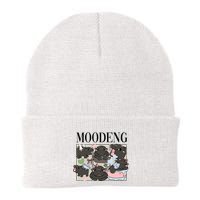 Vintage Moo Deng Bootleg Rap I Love Moo Deng Hippo Lover Beanie