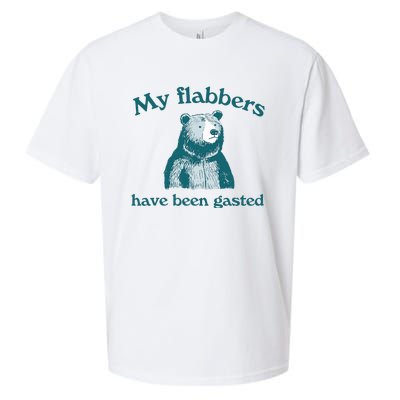 Vintage My Flabbers Have Been Gasted Funny Bear Saying Quote Sueded Cloud Jersey T-Shirt