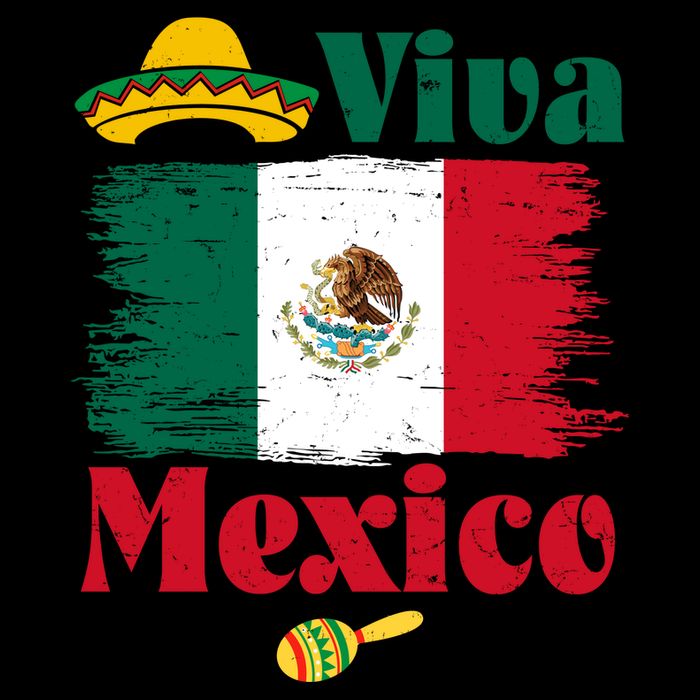 Viva Mexico Flag Mexican Independence Day USA-Made Doggie Bandana