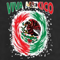 Viva Mexico Flag Mexican Independence Day 11oz C Handle Ceramic Mug