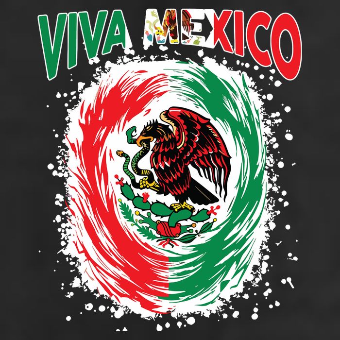 Viva Mexico Flag Mexican Independence Day 11oz C Handle Ceramic Mug