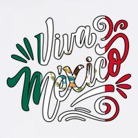 Viva Mexico Hispanic Mexican Heritage Women's V-Neck T-Shirt