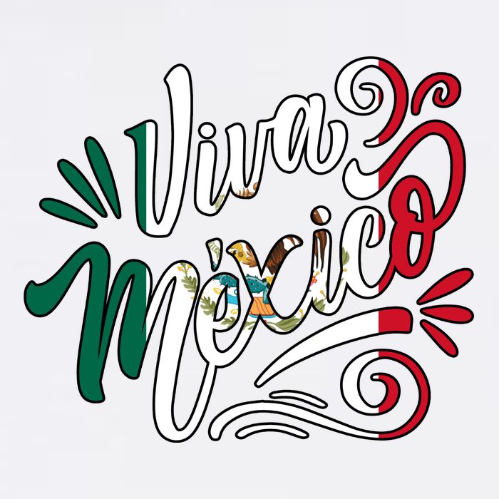 Viva Mexico Hispanic Mexican Heritage Women's V-Neck T-Shirt