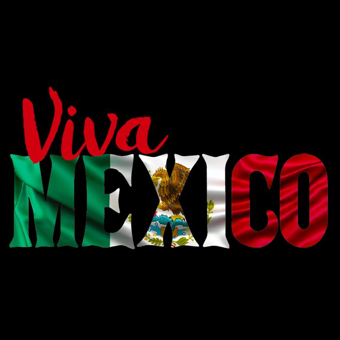 Viva Mexico Independence Day City Backpack