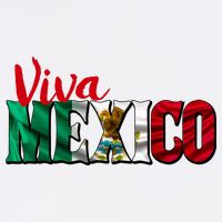 Viva Mexico Independence Day 11oz C Handle Ceramic Mug