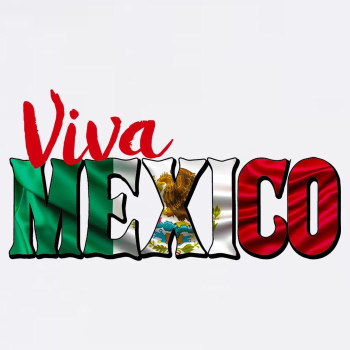 Viva Mexico Independence Day 11oz C Handle Ceramic Mug