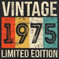 Vintage Made In 1975 Birthday Hat