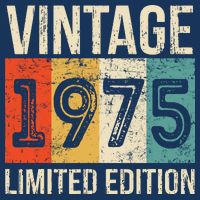 Vintage Made In 1975 Birthday T-Shirt