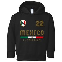 Vintage Mexico Jersey Futbol Soccer Flag Toddler Hoodie