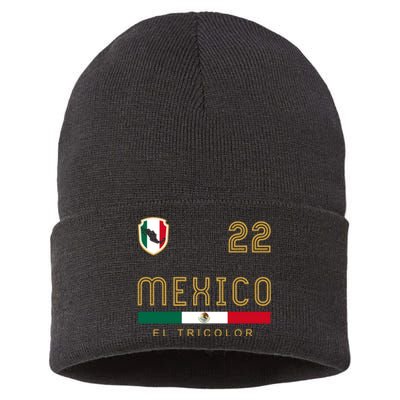 Vintage Mexico Jersey Futbol Soccer Flag Fan Gift Sustainable Knit Beanie