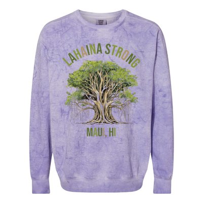 Vintage Maui Lahaina Banyan Tree Colorblast Crewneck Sweatshirt