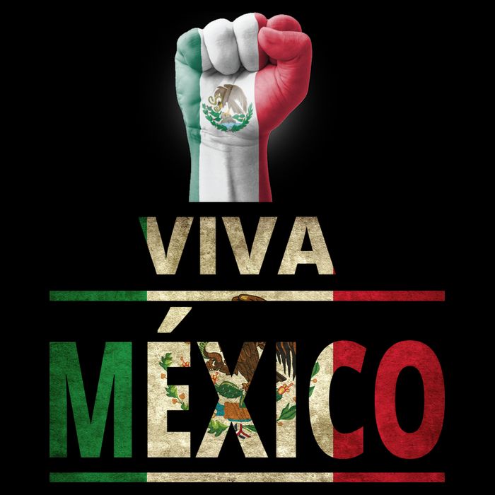 Viva Mexico Mexican Pride Fist Poster