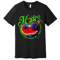 Viva Mexico No Time To Siesta That Is My Final Fiesta Premium T-Shirt