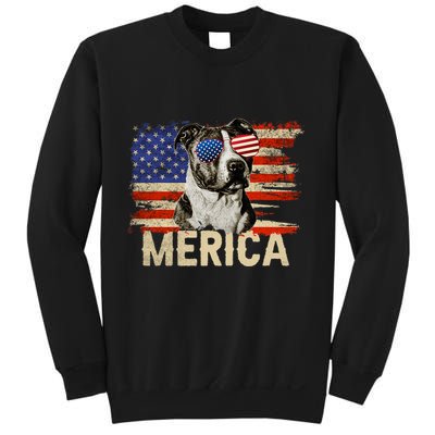 Vintage Merica Pitbull 4th Of July USA Patriotic Sunglasses Sweatshirt