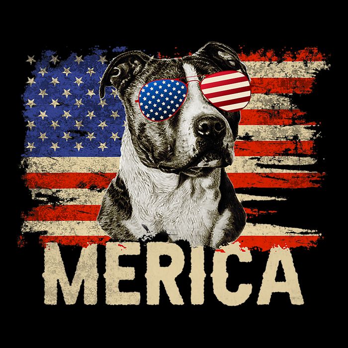 Vintage Merica Pitbull 4th Of July USA Patriotic Sunglasses Baby Bodysuit