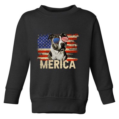 Vintage Merica Pitbull 4th Of July USA Patriotic Sunglasses Toddler Sweatshirt