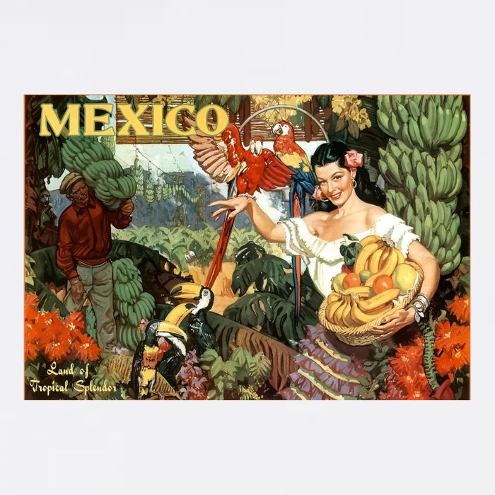 Vintage Mexico Poster Pin Up Fruits And Land Flatbill Hat