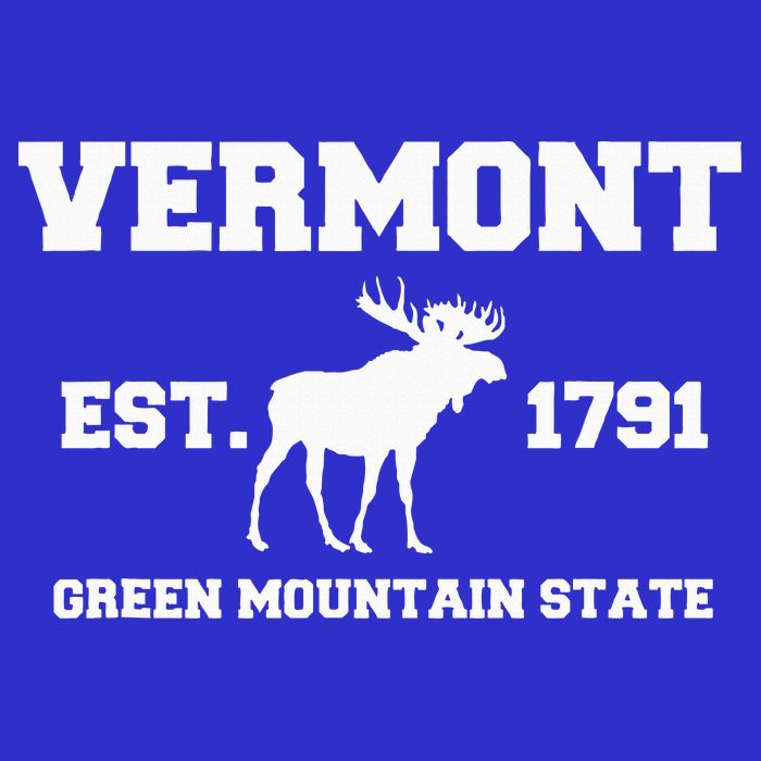 Vermont Moose Souvenir Est 1791 Green Mountain Toddler T-Shirt