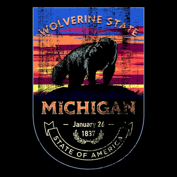 Vintage Michigan The Wolverine State Drawstring Bag