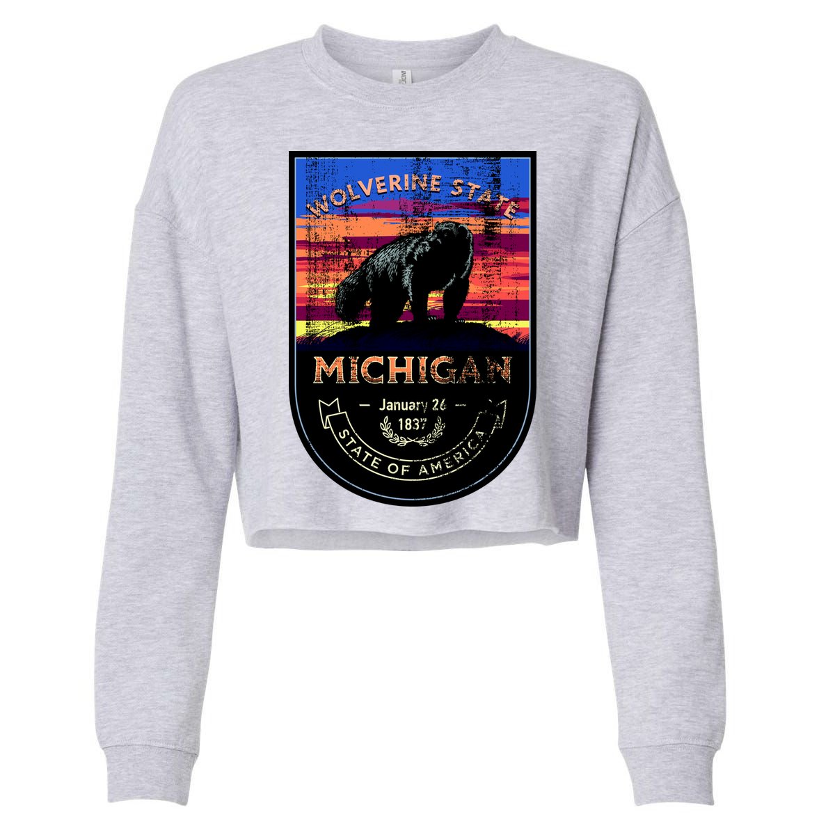Vintage Michigan The Wolverine State Cropped Pullover Crew