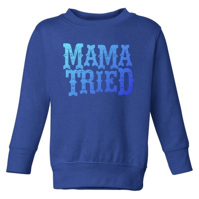 Vintage Mama Tried Country Outlaw Music Gift Toddler Sweatshirt