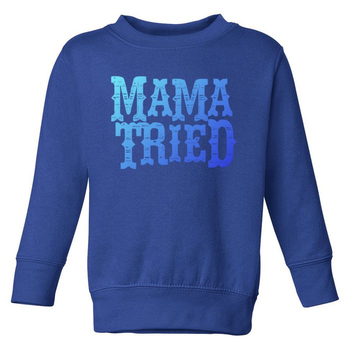 Vintage Mama Tried Country Outlaw Music Gift Toddler Sweatshirt