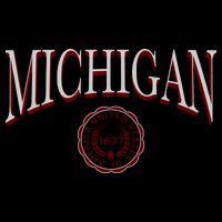 Vintage Michigan Varsity Style Button