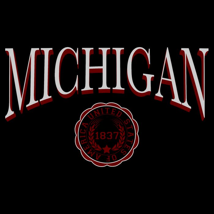 Vintage Michigan Varsity Style Button