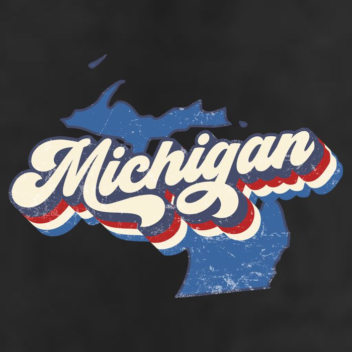 Vintage Michigan Trucker Hat
