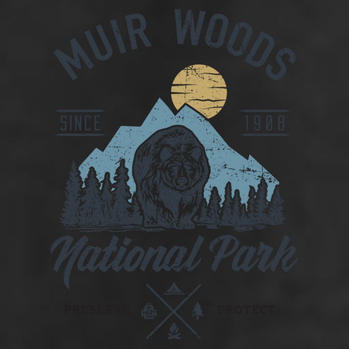 Vintage Muir Woods National Park Hiking Camping Gift Hat