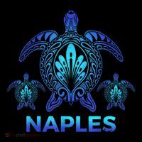 Vintage Naples Florida FL Ocean Blue Sea Turtle Souvenirs Flatbill Hat