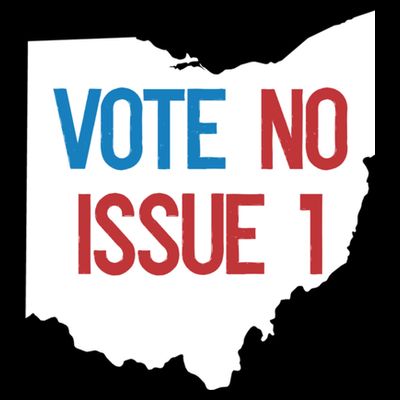 Vote No Issue 1 Family Matching Life Pride Motivation Best Gifts Usa G T-Shirt