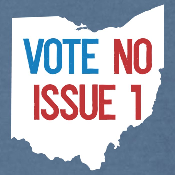 Vote No Issue 1 Family Matching Life Pride Motivation Best Gifts Usa G Garment-Dyed Sweatshirt