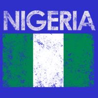 Vintage Nigeria Nigerian Flag Pride Gift Toddler T-Shirt