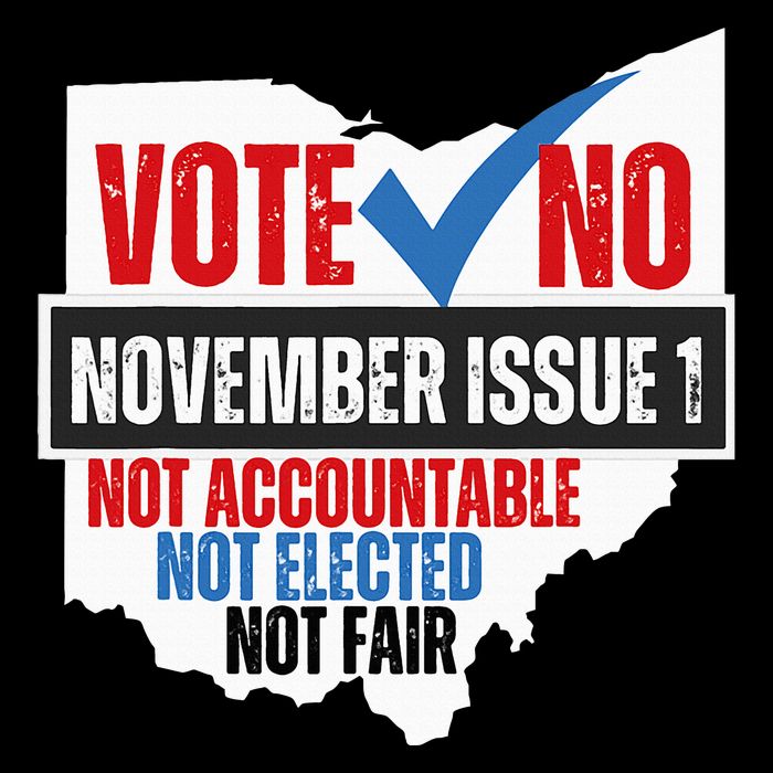 Vote No November Issue 1 Not Accountable Not Elected Not Fair Flat Bill Trucker Hat