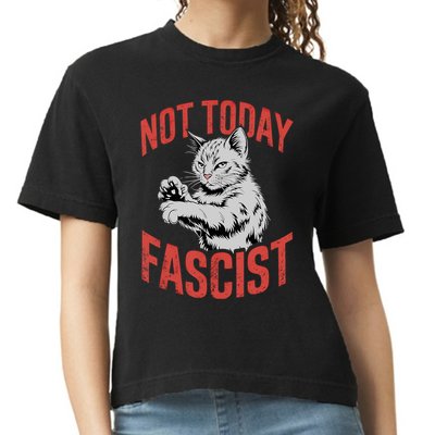 Vintage Not Today Fascist Funny Cat Meme  Comfort Colors Boxy T-Shirt