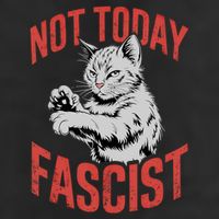 Vintage Not Today Fascist Funny Cat Meme  Tumbler