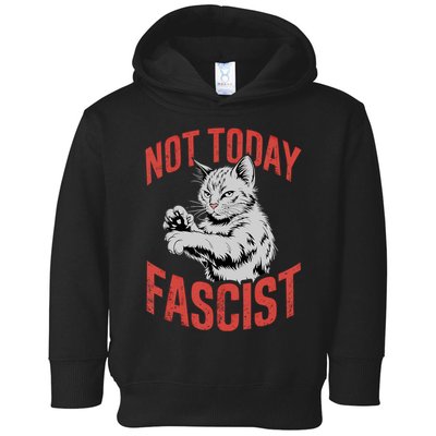 Vintage Not Today Fascist Funny Cat Meme  Toddler Hoodie