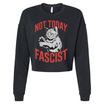 Vintage Not Today Fascist Funny Cat Meme  Cropped Pullover Crew