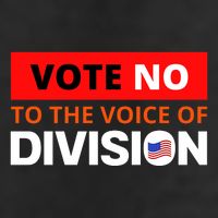 Vote No To The Voice Of Division Tumbler