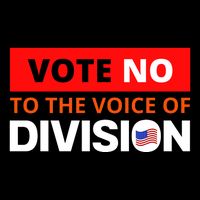 Vote No To The Voice Of Division Short Acrylic Beanie