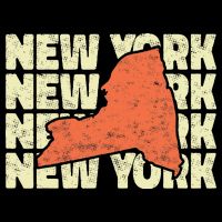 Vintage New York USA State Bag