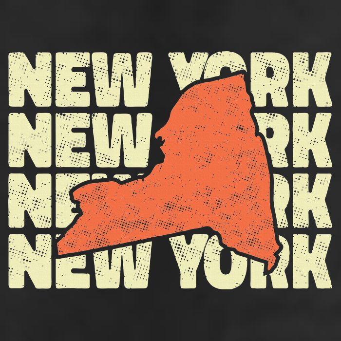 Vintage New York USA State Hat