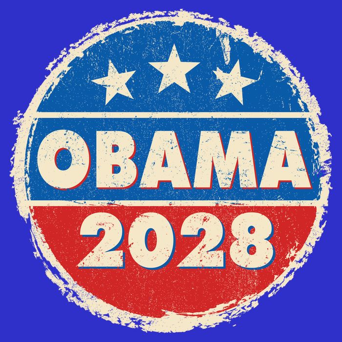 Vintage Obama 2028 Logo Womens T-Shirt