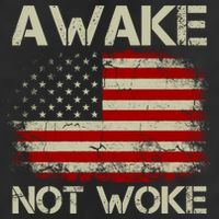 Vintage Old American Flag Awake Not Woke Hat